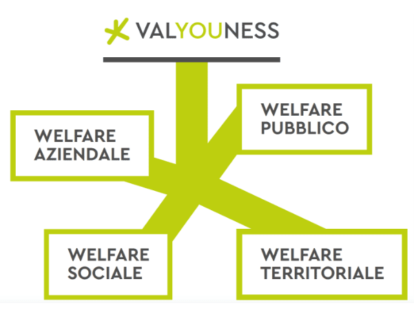 Valyouness Welfare Cirfood